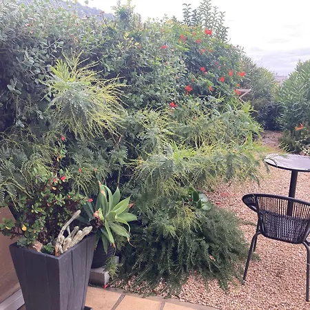 Vue Et Jardin דירה *